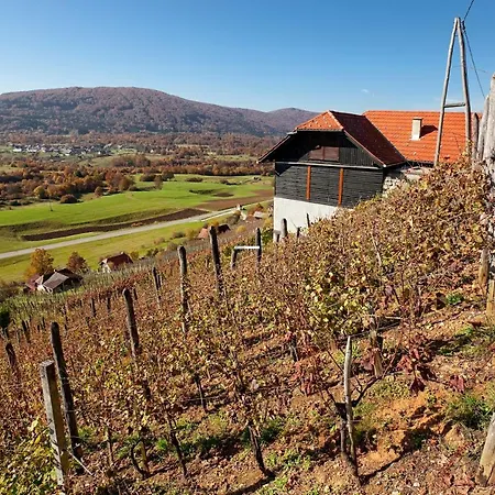 Vineyard Ludvikov Hram