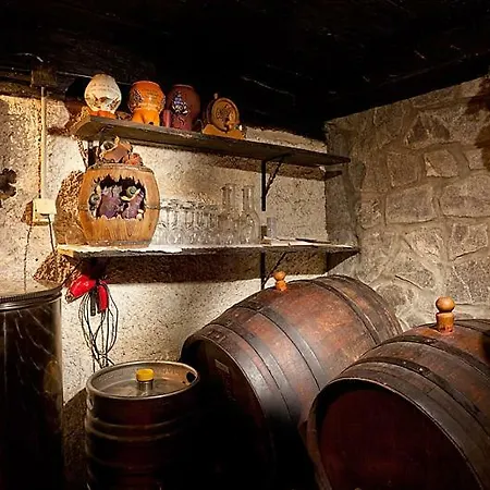 Vineyard Ludvikov Hram *