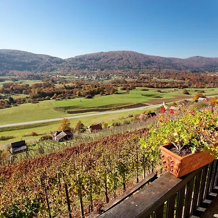 Vineyard Ludvikov Hram Летний дом *