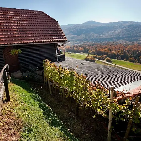 Vineyard Ludvikov Hram Двор